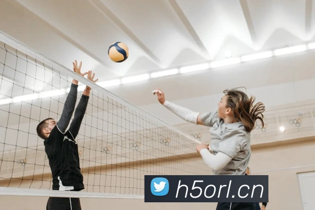 九游在线官方官网服务体系